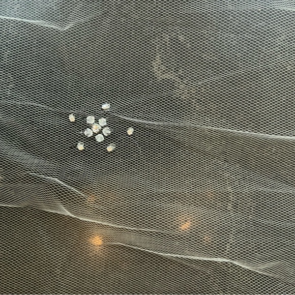 NWT Ivory Cathedral Veil w/ rhinestones
